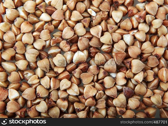 Buckwheat (Fagopyrum ?sculentum) Is A Plant Cultivated For Its Grain-Like Seeds And As A Cover Crop.