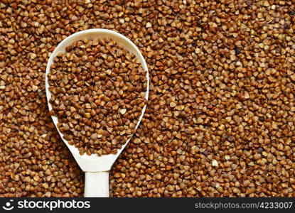 Buckwheat in the wooden spoon. Buckwheat