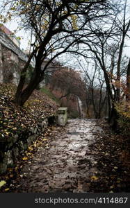 Budapest hillside in Autumn