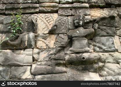 Buddha and green bush on the wall of temple in Angkor, Cambodia