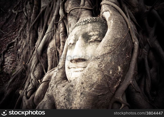 Buddha Head hidden in the tree roots. Ancient sandstone sculpture at Wat Mahathat. Ayutthaya, Thailand