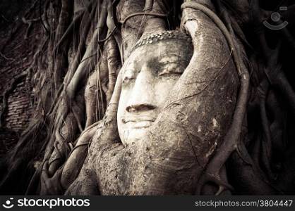 Buddha Head hidden in the tree roots. Ancient sandstone sculpture at Wat Mahathat. Ayutthaya, Thailand