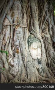 Buddha Head in Tree Roots, Wat Phra Mahathat temple, Ayutthaya, Thailand. Buddha Head in Tree Roots, Wat Mahathat, Ayutthaya, Thailand