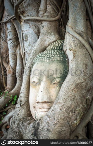 Buddha Head in Tree Roots, Wat Phra Mahathat temple, Ayutthaya, Thailand. Buddha Head in Tree Roots, Wat Mahathat, Ayutthaya, Thailand