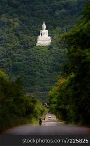 Buddha state on the mountain in the forest