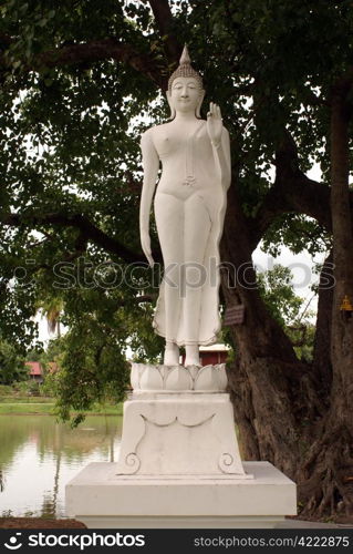 Buddha under tree in Trapang Thong Luang, Sukhotai, Thailand