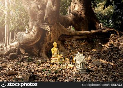 Buddhism statue at the root of a tree with dry leaves covered the ground and the ancient ruined Wat Khu Khaw near Wat Khu Kum in Muang District, Lampang Province, Thailand.