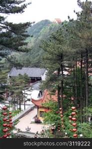 Buddhist monastery and pine forest in Jiuhua Shan, China