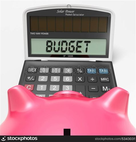 Budget Calculator Showing Accounting And Management Report