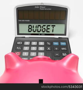 Budget Calculator Showing Accounting And Management Report