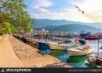 Budva marina with boats, beautiful harbour view, Montenegro.