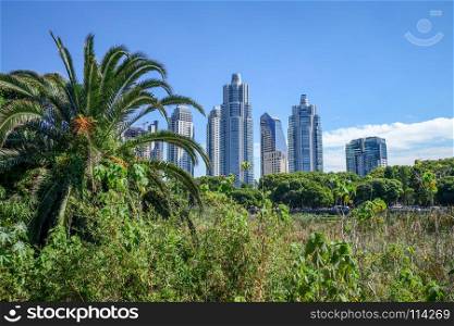 Buenos Aires cityscape, view from Costanera Sur ecological reserve. Buenos Aires, view from Costanera Sur ecological reserve