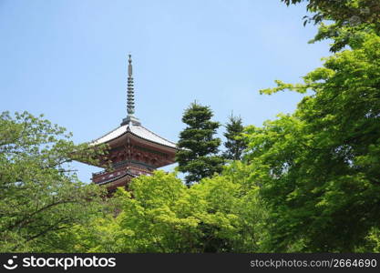 Building in a forest