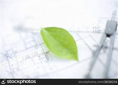 Building plans with a green leaf sat on top