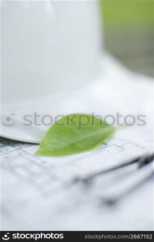 Building plans with a green leaf sat on top