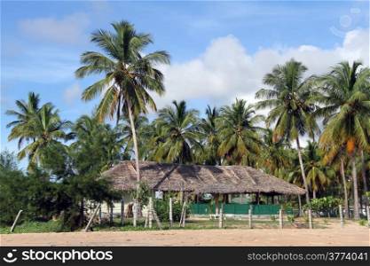 Building under palm trees on the Nilaveli beach, Sri Lanka