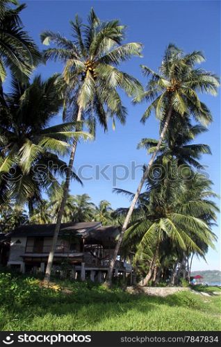 Building under palm trees on the Pantai Sorak beach in Nias, Indonesia