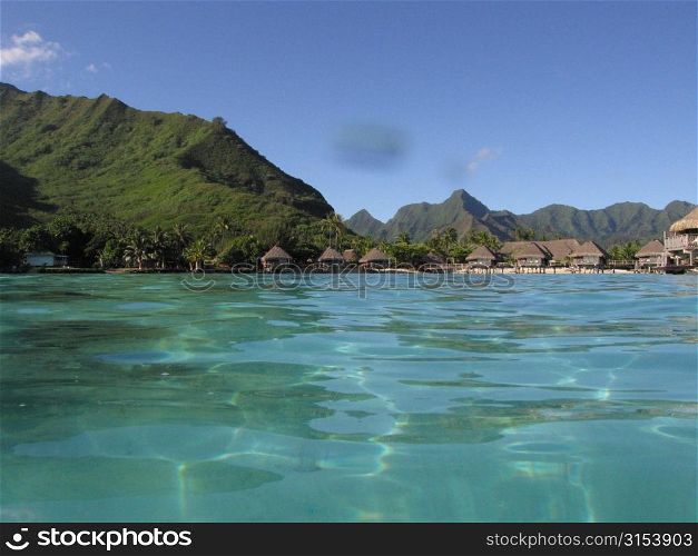 Buildings along a seashore, Moorea, Tahiti, French Polynesia, South Pacific