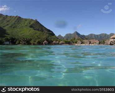 Buildings along a seashore, Moorea, Tahiti, French Polynesia, South Pacific