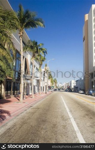 Buildings along the road, Miami, Florida, USA
