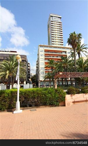 buildings and palm trees typical of the city of Alicante Spain