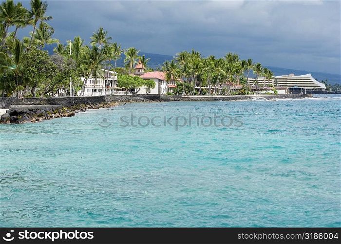 Buildings and trees at the seaside, Kona, Big Island, Hawaii Islands, USA