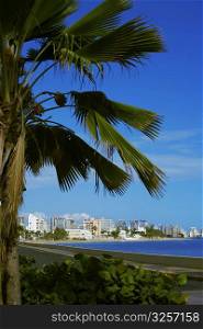 Buildings at the beachfront, El Condado, San Juan, Puerto Rico