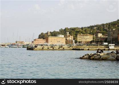 Buildings at the seaside, Italian Riviera, Santa Margherita Ligure, Genoa, Liguria, Italy