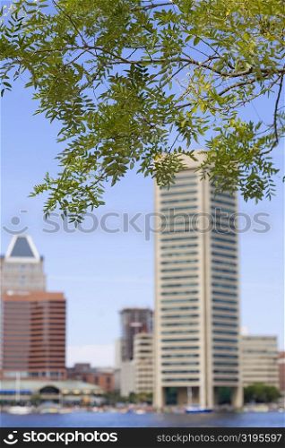 Buildings at the waterfront, World Trade Center, Inner Harbor, Baltimore, Maryland, USA