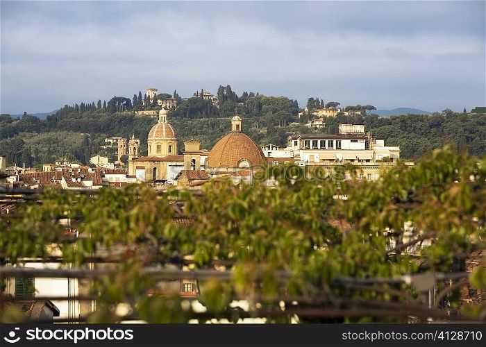 Buildings in a city, Florence, Tuscany, Italy