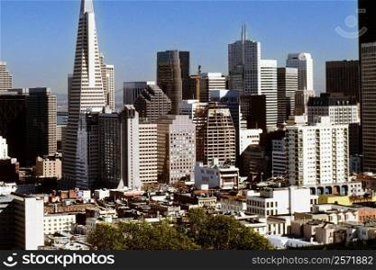 Buildings in a city, San Francisco, California, USA