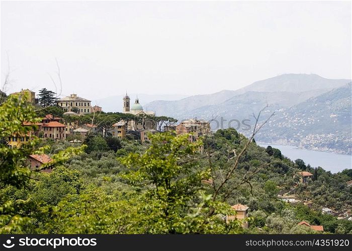 Buildings on a hill, Italian Riviera, Liguria, Italy
