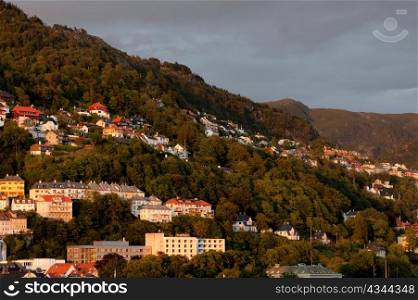 Buildings on the side of a mountain, Bergen, Norway