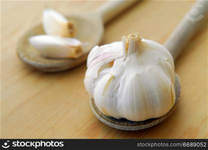 Bulbs and cloves of garlic on wooden cooking spoons