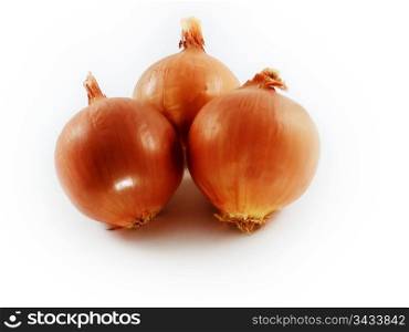 bulbs of onion vegetable on a white background