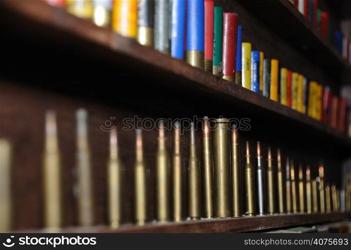 Bullet cartridges on a shelf