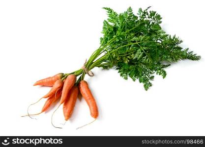 Bunch fresh carrots isolated on white. Top view. Vegetables from garden.