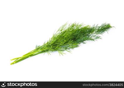 bunch fresh dill herb isolated on white background