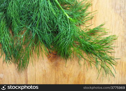 bunch fresh green dill herb on wooden old table