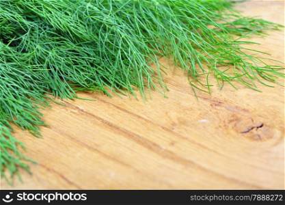 bunch fresh green dill herb on wooden old table