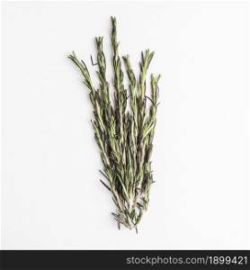 bunch fresh rosemary 2. Resolution and high quality beautiful photo. bunch fresh rosemary 2. High quality beautiful photo concept