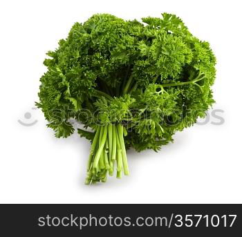 bunch of a parsley isolated