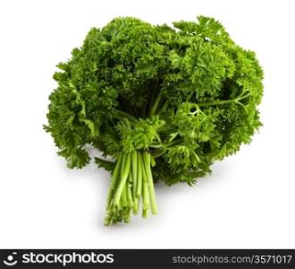 bunch of a parsley isolated