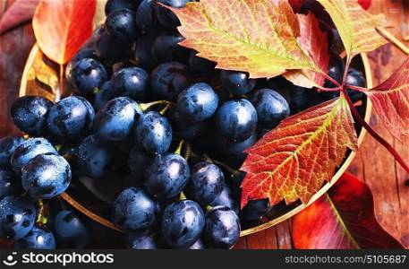 bunch of autumn grape. ripe bunch of autumn grape harvest on a wooden background