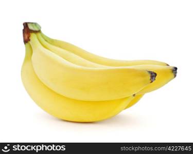 Bunch of bananas isolated on white background . Bunch of bananas