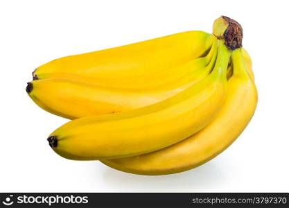 bunch of beautiful mature bananas on white background