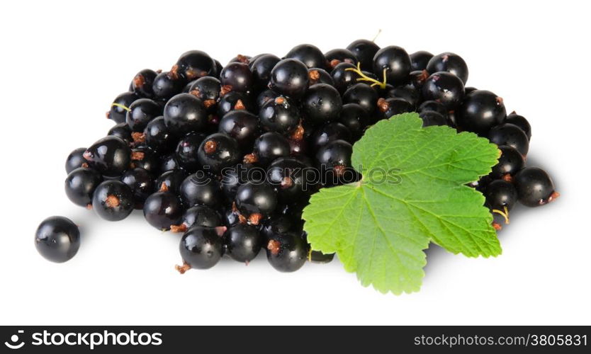 Bunch Of Black Currant With Leaf Rotated Isolated On White Background