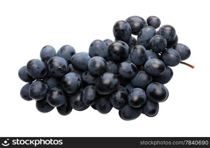 Bunch of black grapes on a white background, isolated