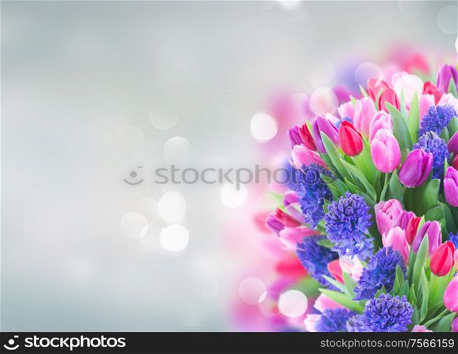 bunch of blue hyacinth and tulips bunch on blue background with copy space. bouquet of blue hyacinth and tulips