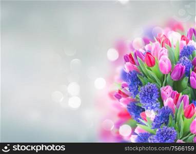 bunch of blue hyacinth and tulips bunch on blue background with copy space. bouquet of blue hyacinth and tulips